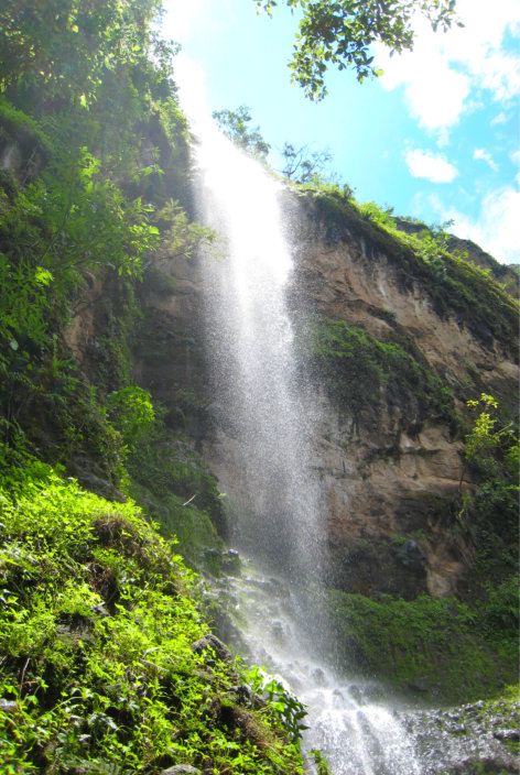 Waterfall of the Parque de Venados